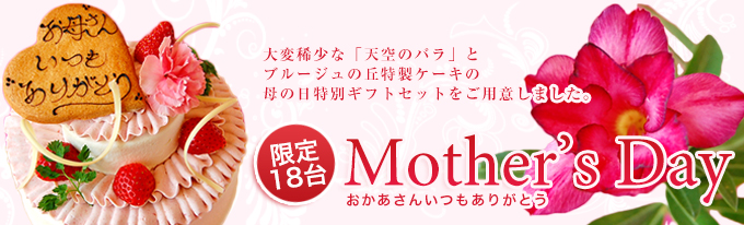 限定18台！大変稀少な「天空のバラ」とブルージュの丘特製ケーキの母の日特別ギフトセットをご用意しました。