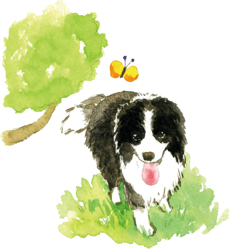 愛犬メープルのイラスト